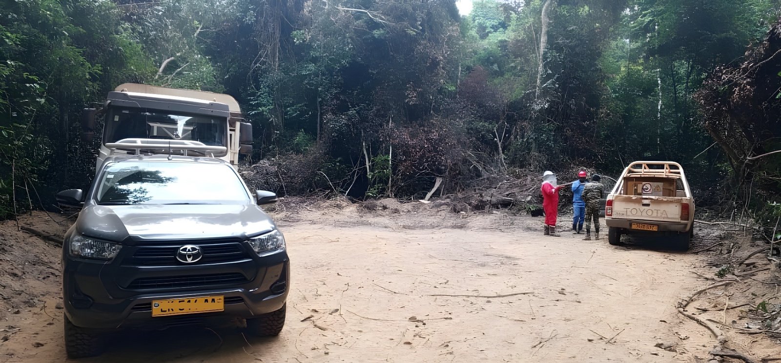 Mission BGP Gabon - Zone de Rabi